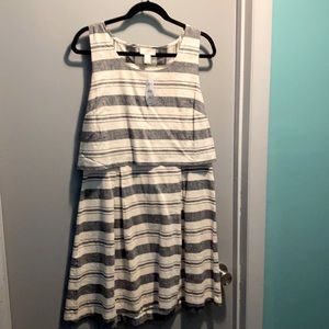 Ann Taylor Loft Dress